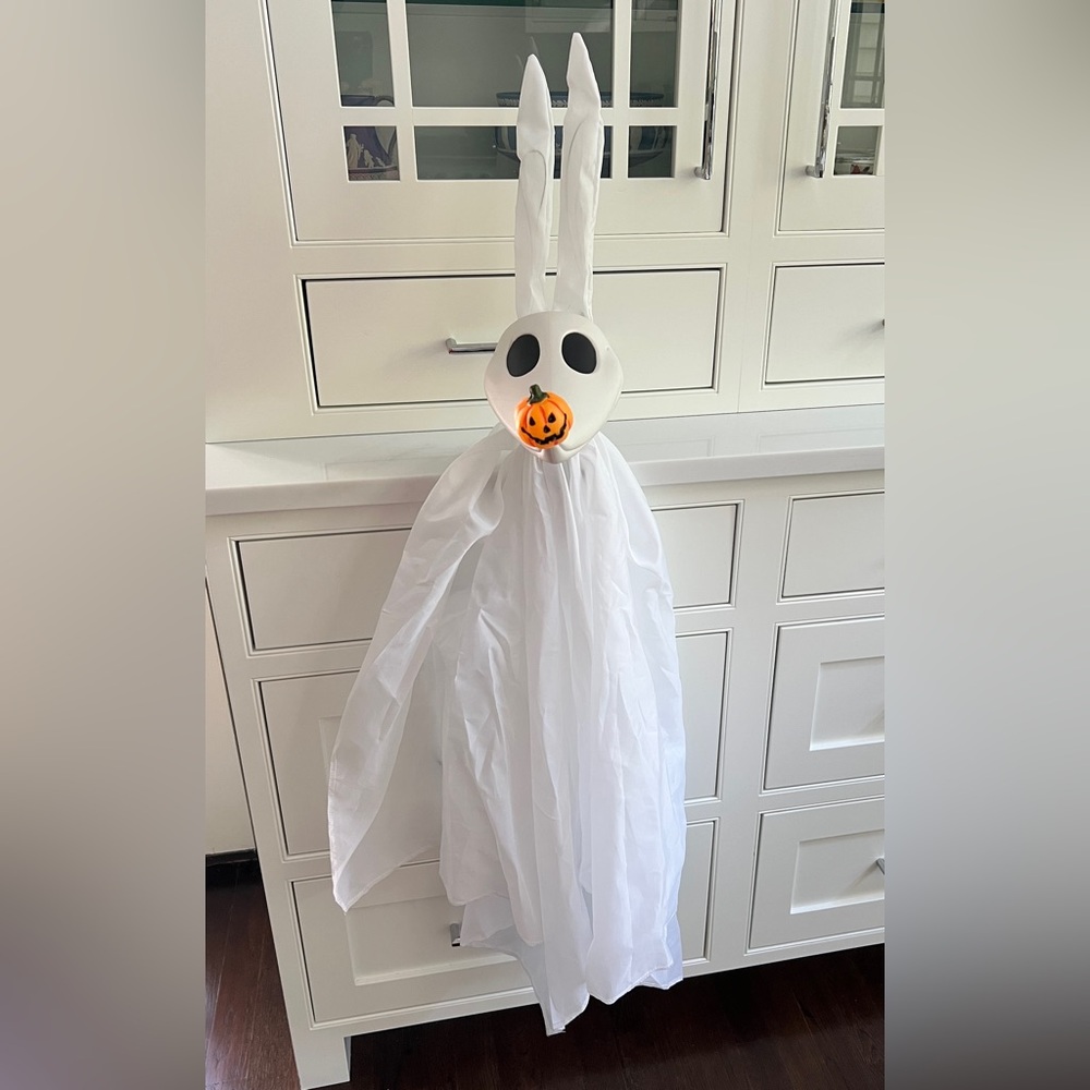 Barking flashing ZERO Nightmare Halloween spooky Dog prop Ghost battery inc.
